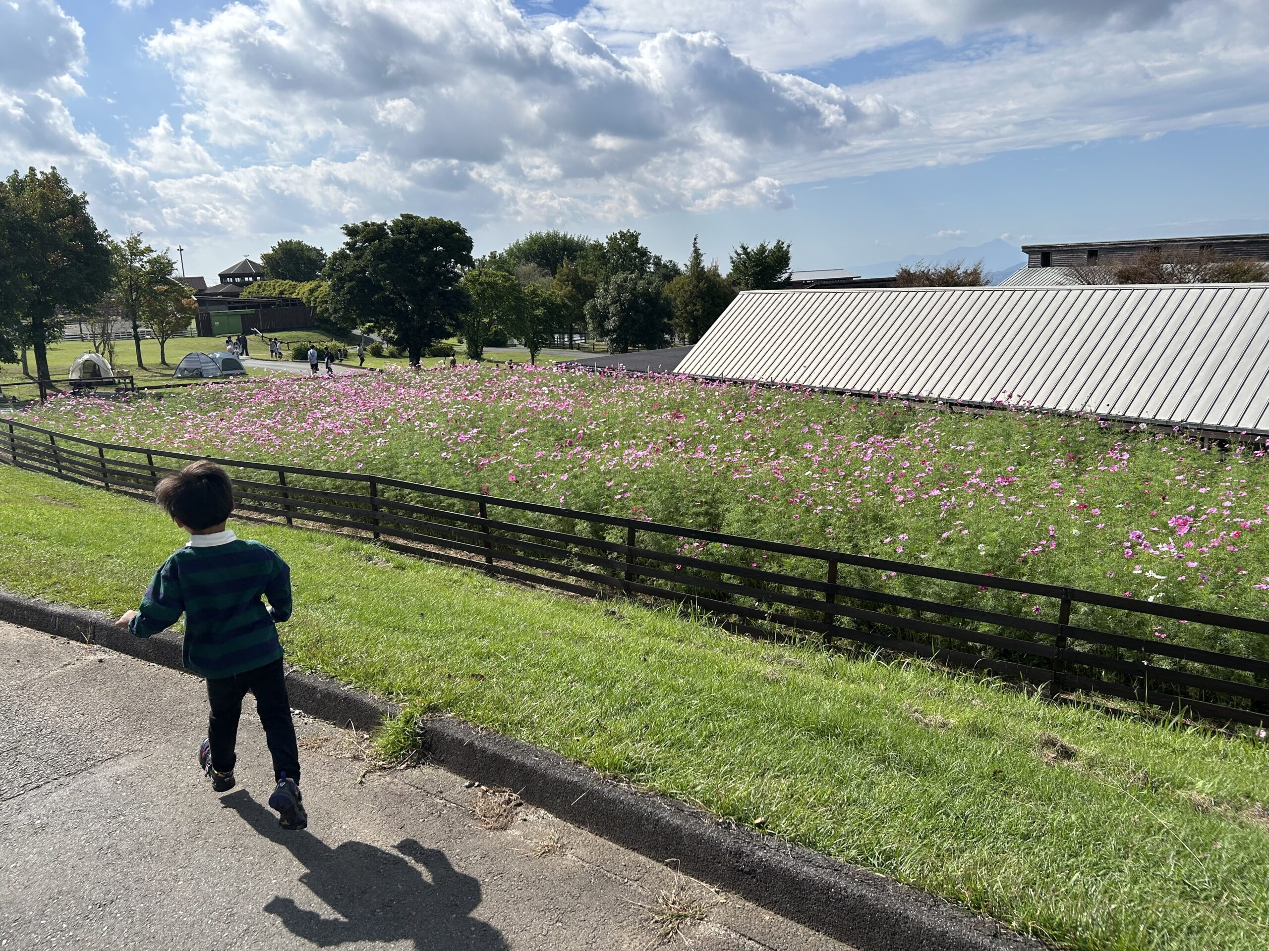 短かった秋も満喫