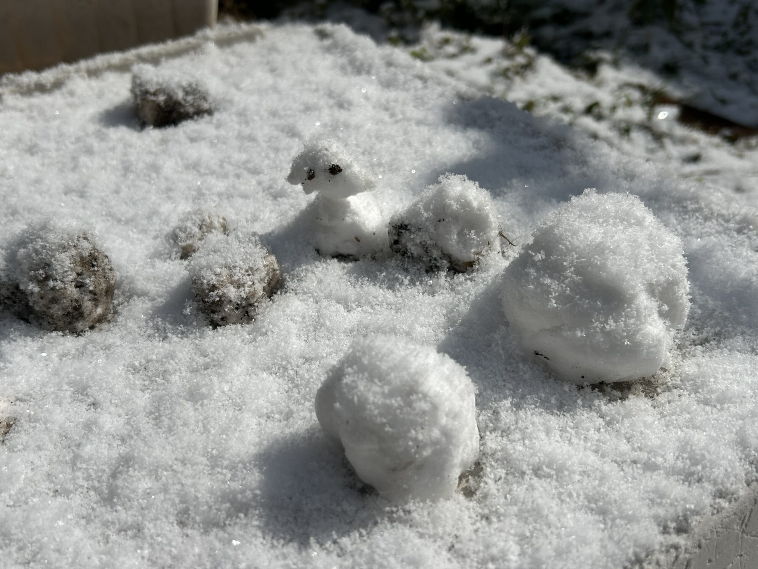 寒さに負けずアクティブな日々