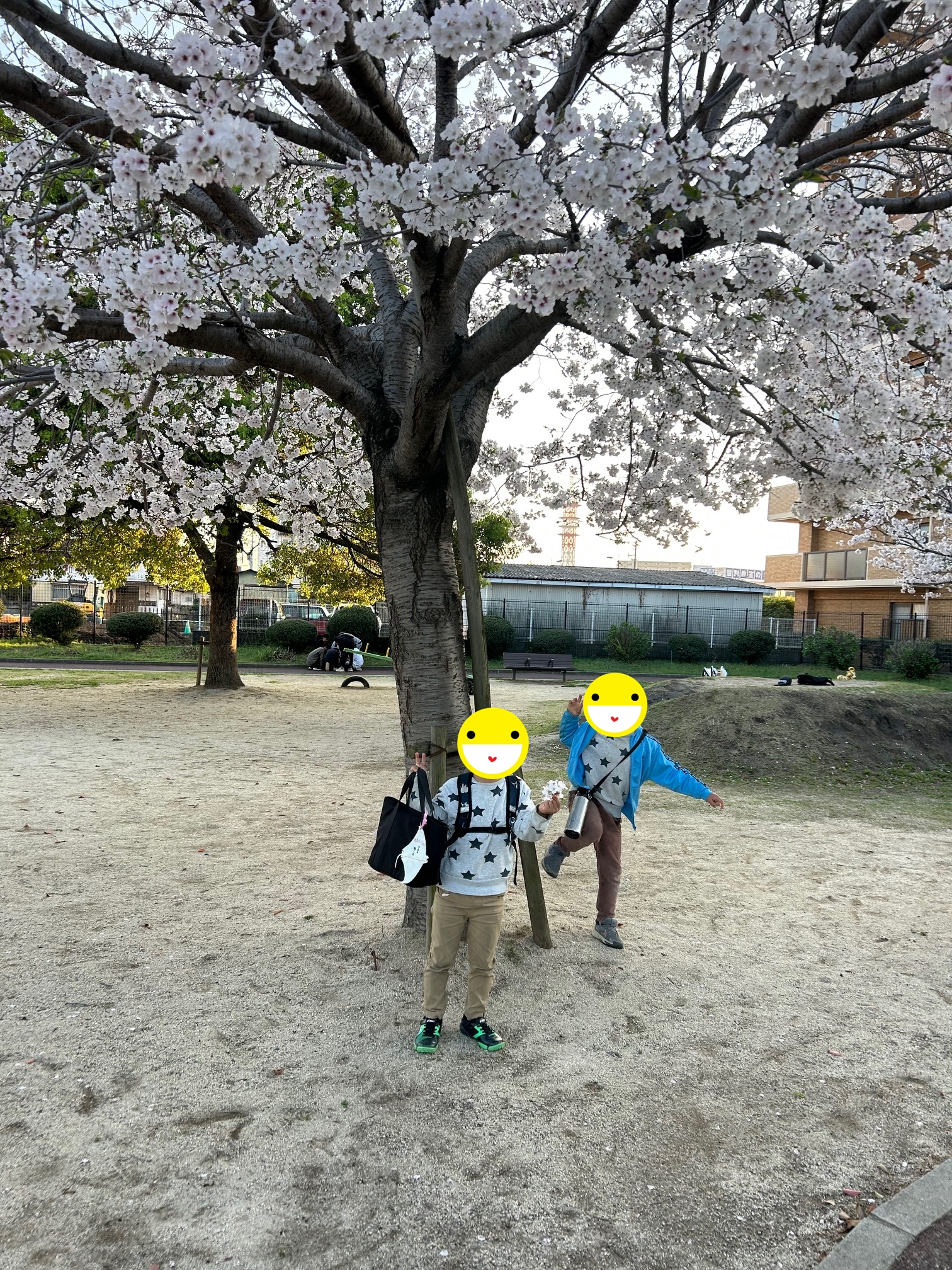 お出かけ日和の季節